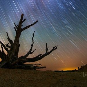 Meet your Posher, Paul